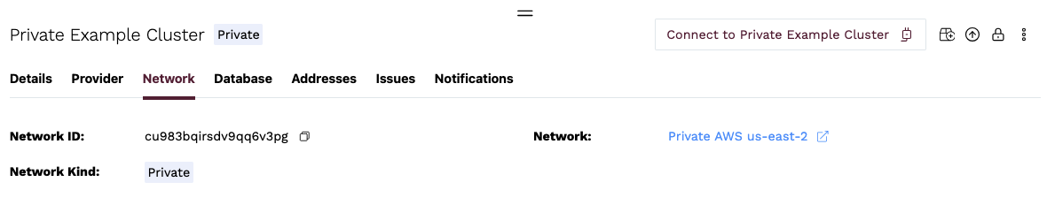 Cluster details - Private Network