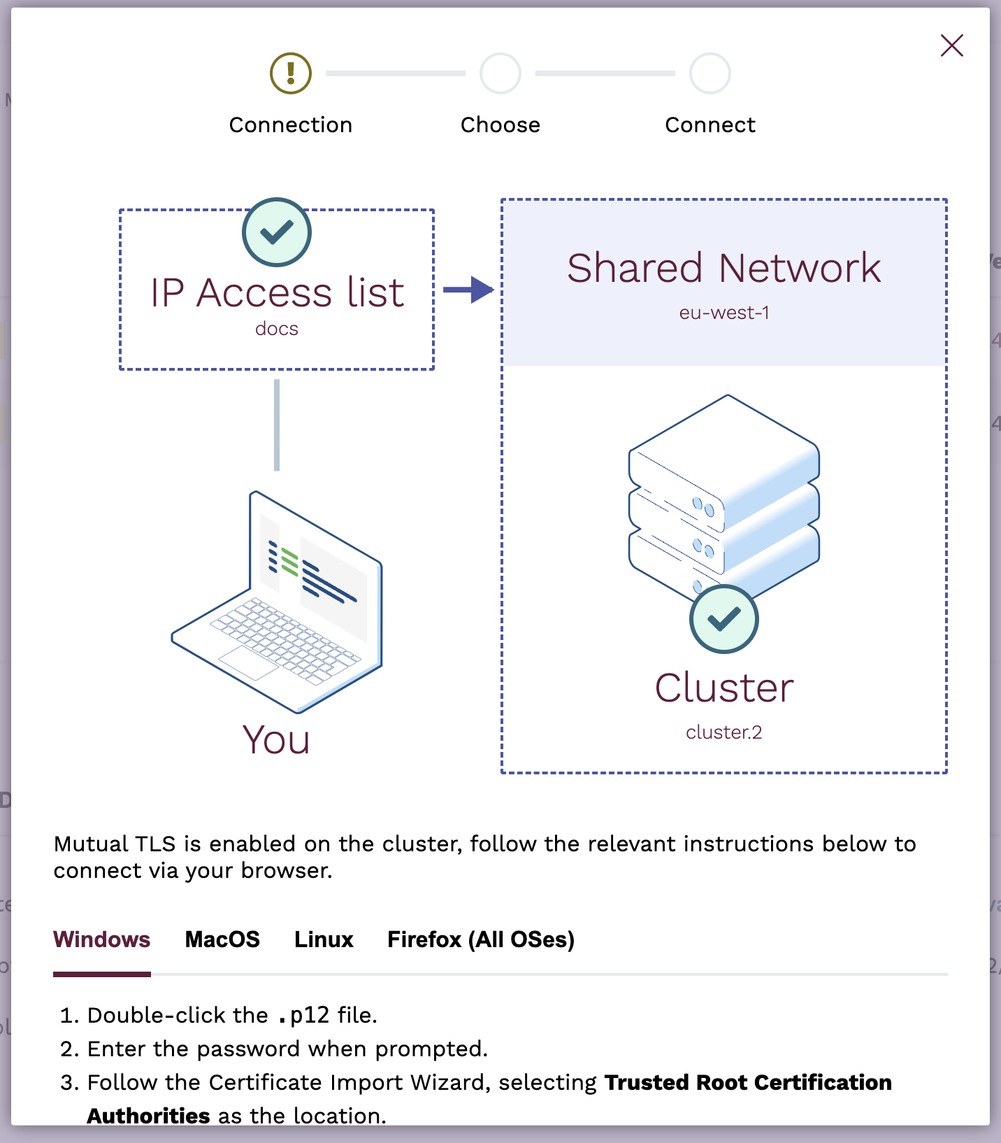 Connect to Public Cluster - MTLS Error